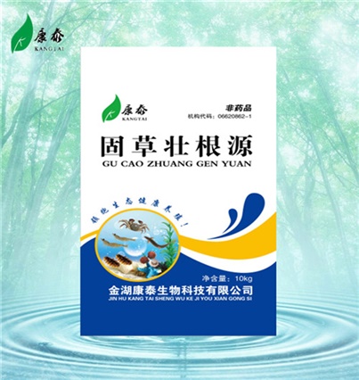 干切片振動(dòng)輸送及脈沖輸送